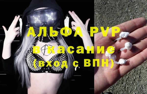 прущая мука Каменногорск