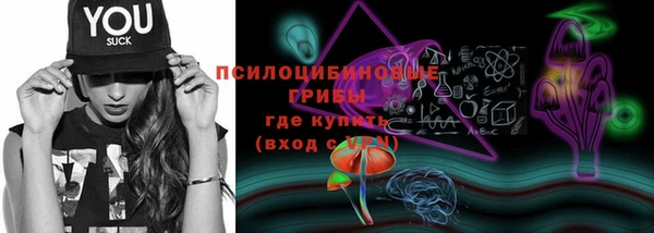 прущая мука Каменногорск