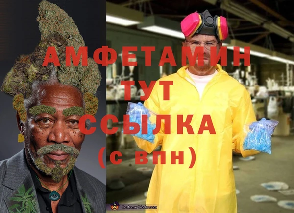 прущая мука Каменногорск