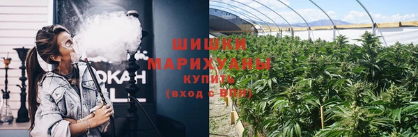 прущая мука Каменногорск