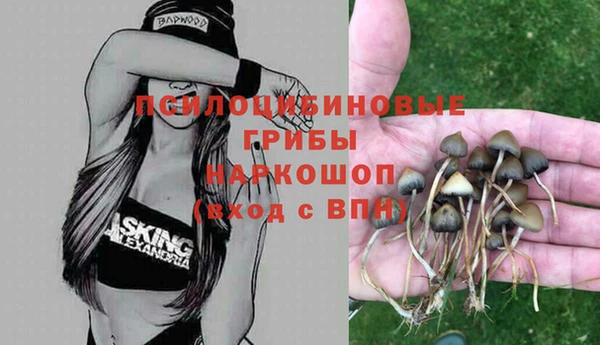 метадон Каменск-Шахтинский
