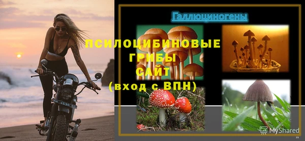 метадон Каменск-Шахтинский