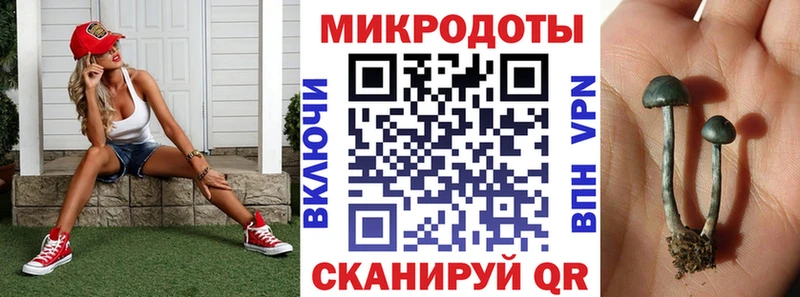 Купить  Чусовой  Псилоцибиновые грибы Cubensis 